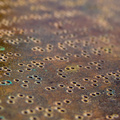_IMG_2865.JPG