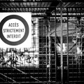 _IMG_3904.JPG