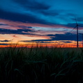 IMG_6499.jpg