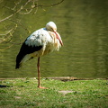 IMG_2828.jpg