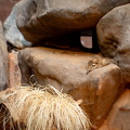 KL2A5693.jpg