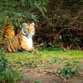 KL2A8519.jpg